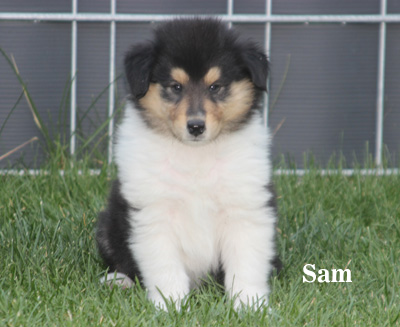 Sam - 5./6. Woche